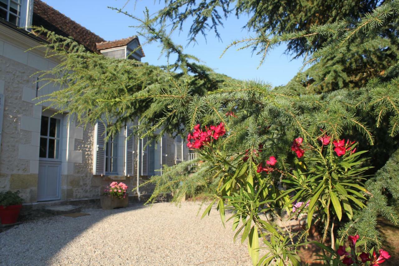 Bella Simonetta Bed & Breakfast Francueil Luaran gambar
